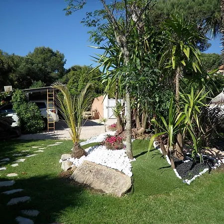 Villa Cocoa *